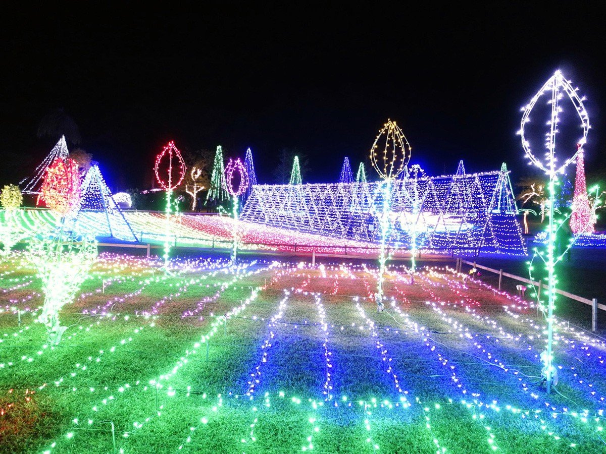 🌺 플라워파크 가고시마 (후라와파쿠 카고시마) 이미지 8